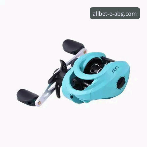 欧博ABG官网2025版功能最新版 欧博ABG官网2025版功能解析与使用完全指南